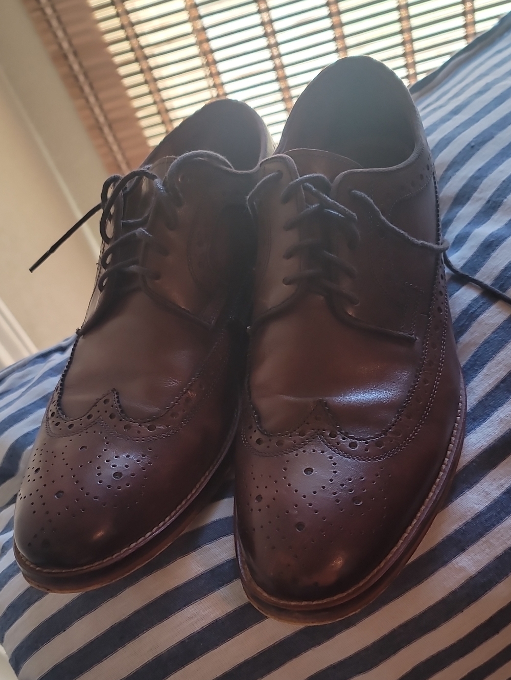 Johnston & Murphy Dark Brown Wingtip Oxford Dress Shoes